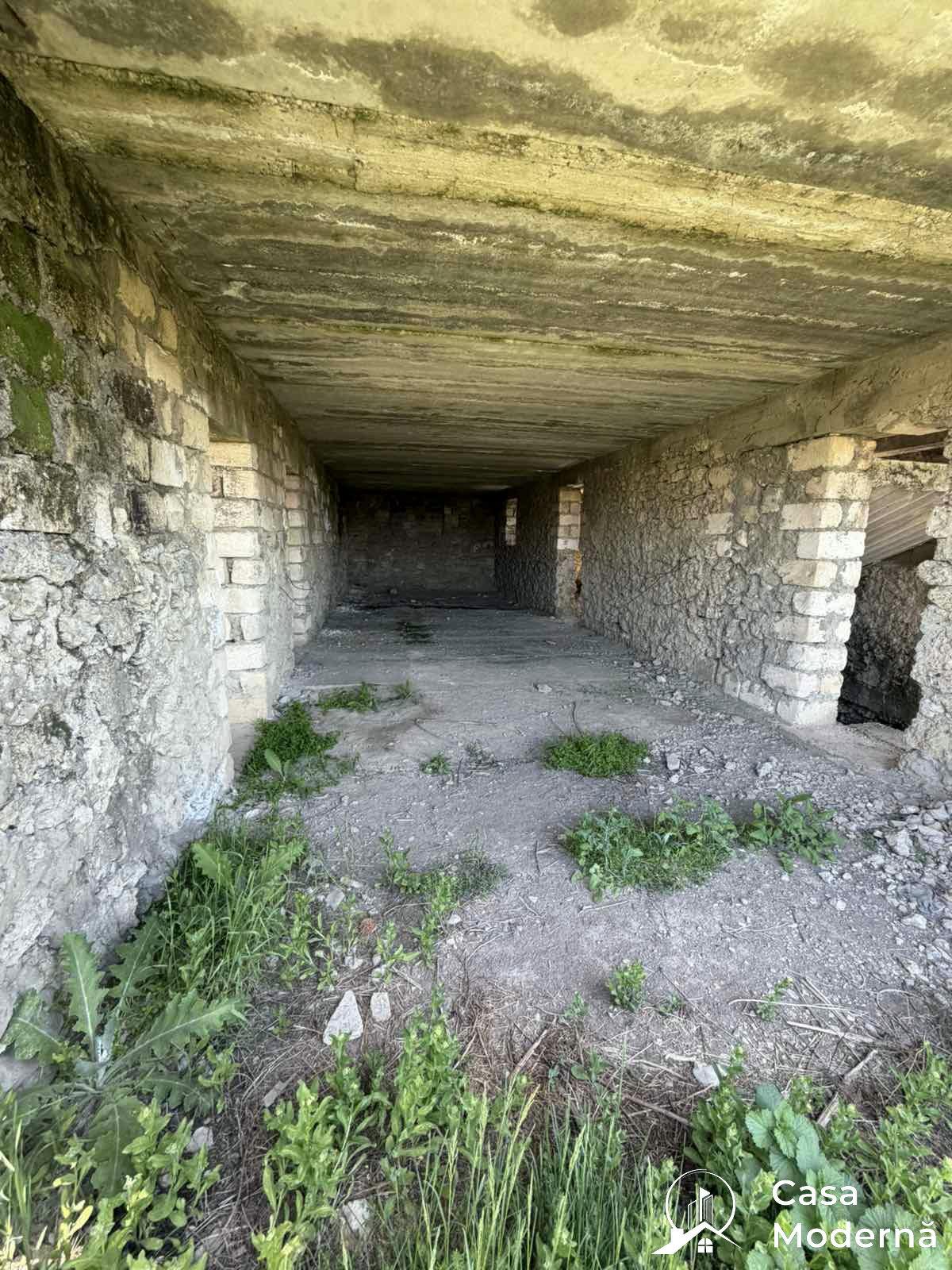 img2