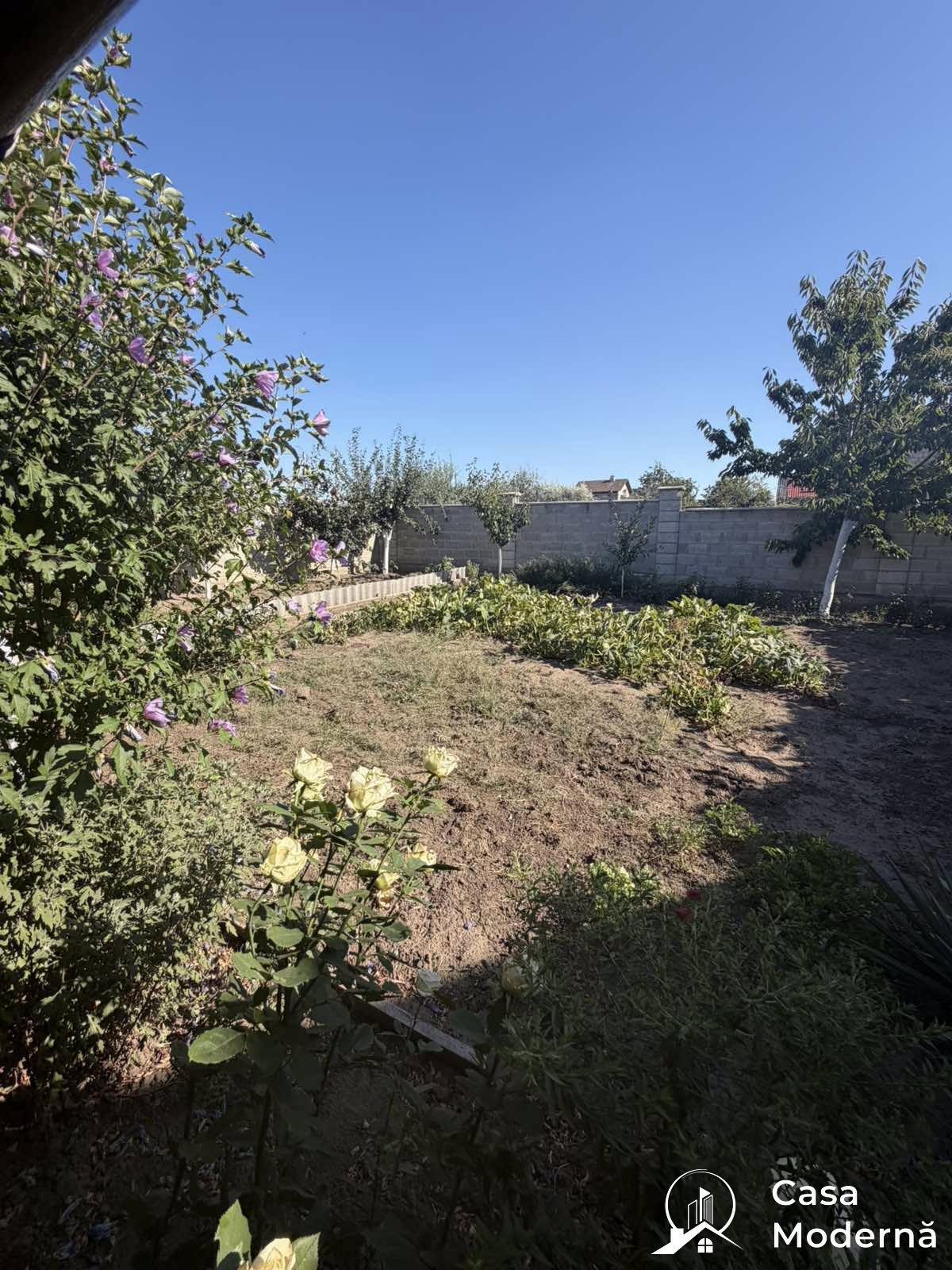 img2
