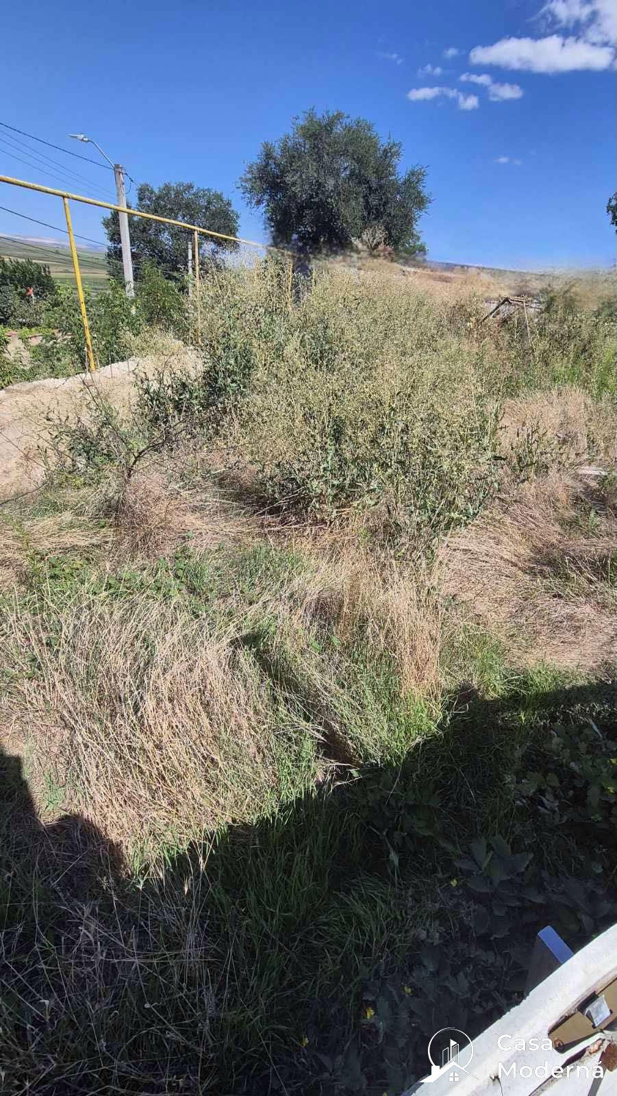 img2
