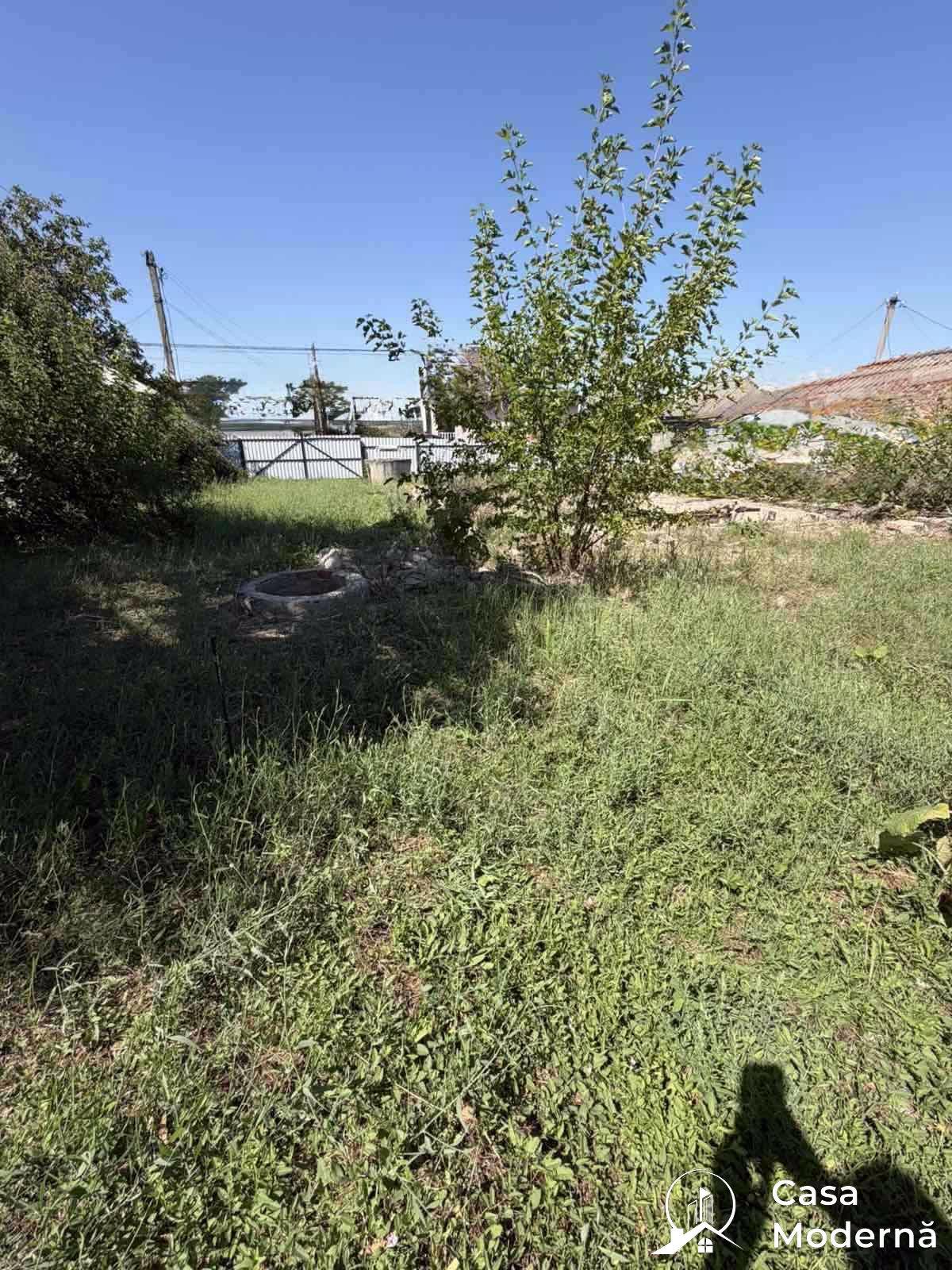 img2