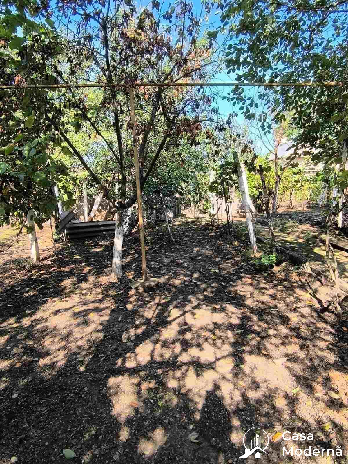 img2