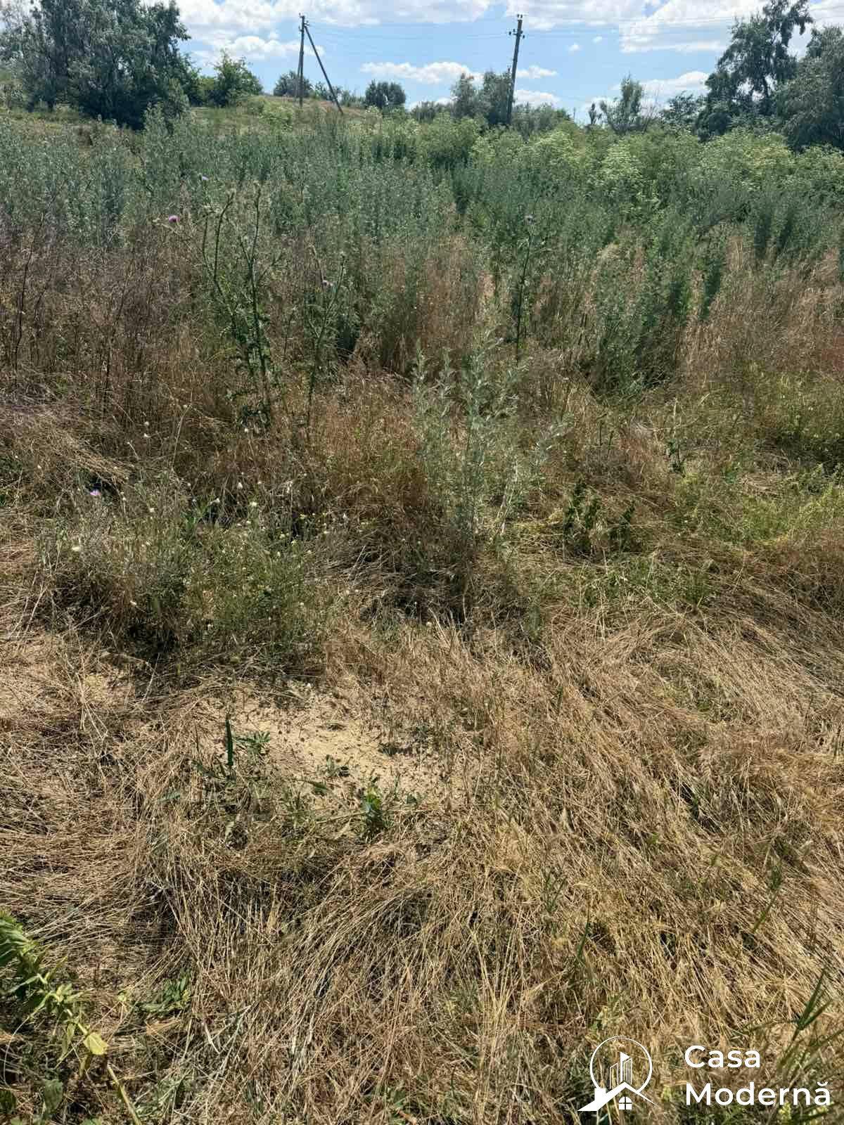 img2
