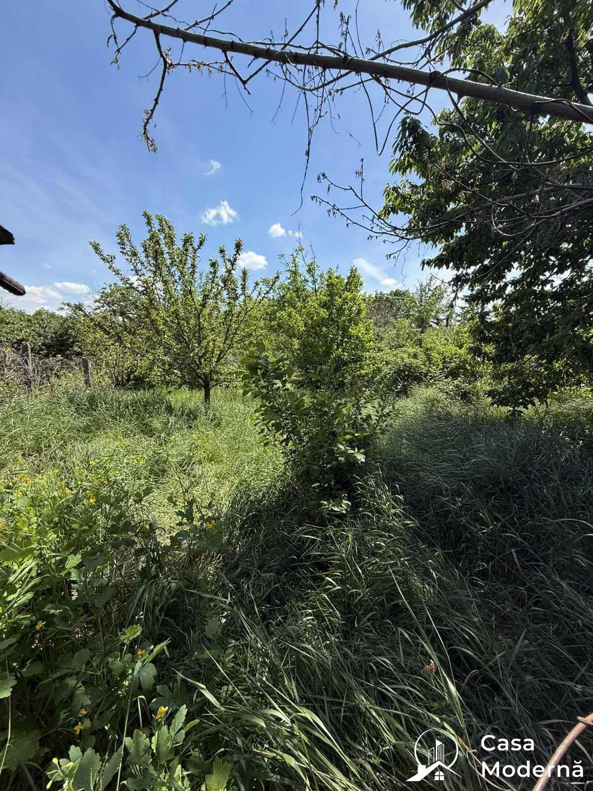 img2