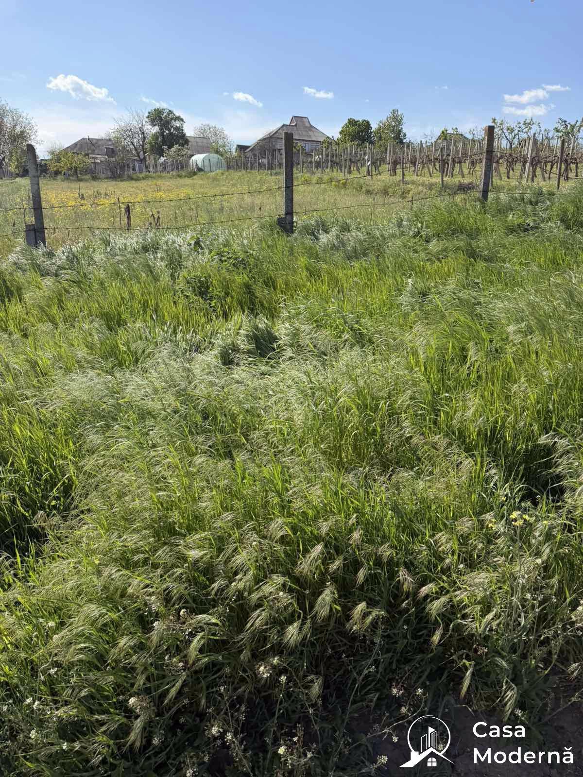 Land for Construction for Sale – Focșa area