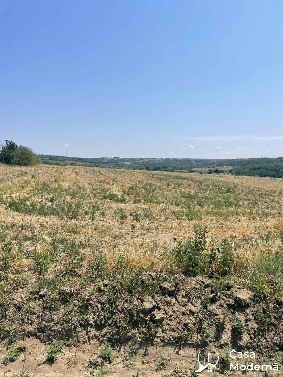  agricultural land for Sale – Focșa