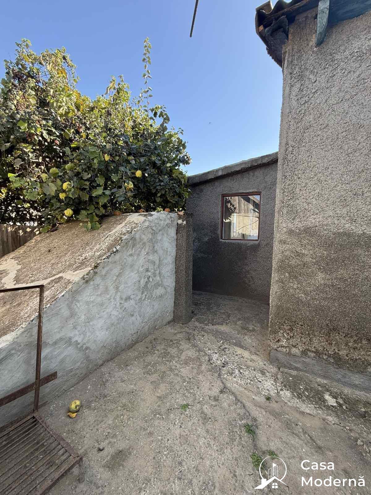 img2