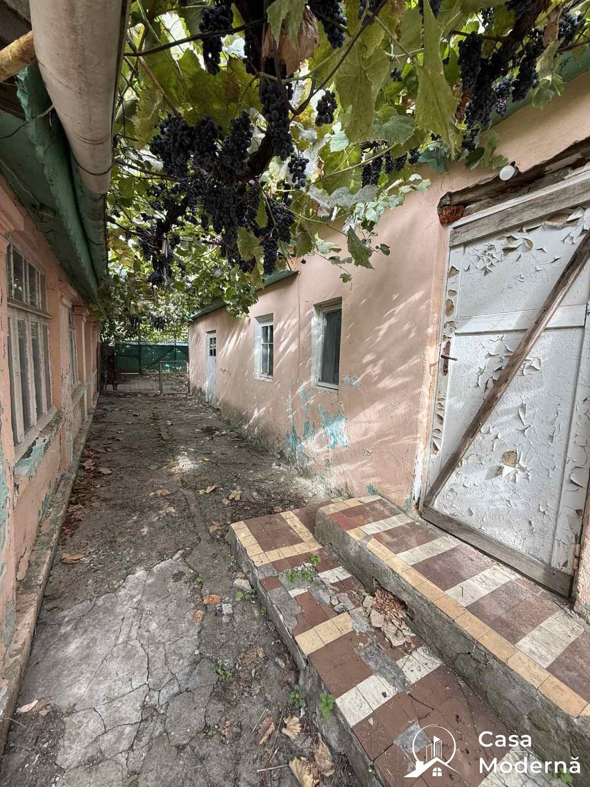 img2