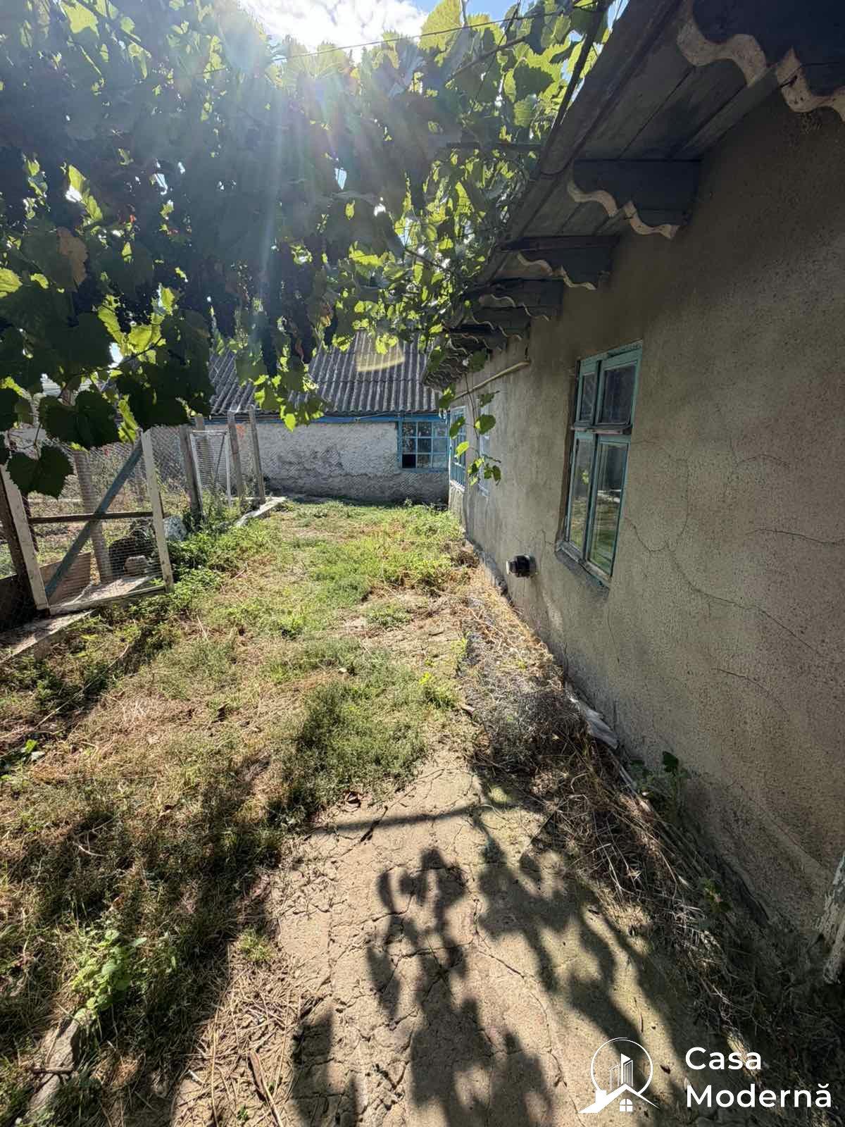 img2