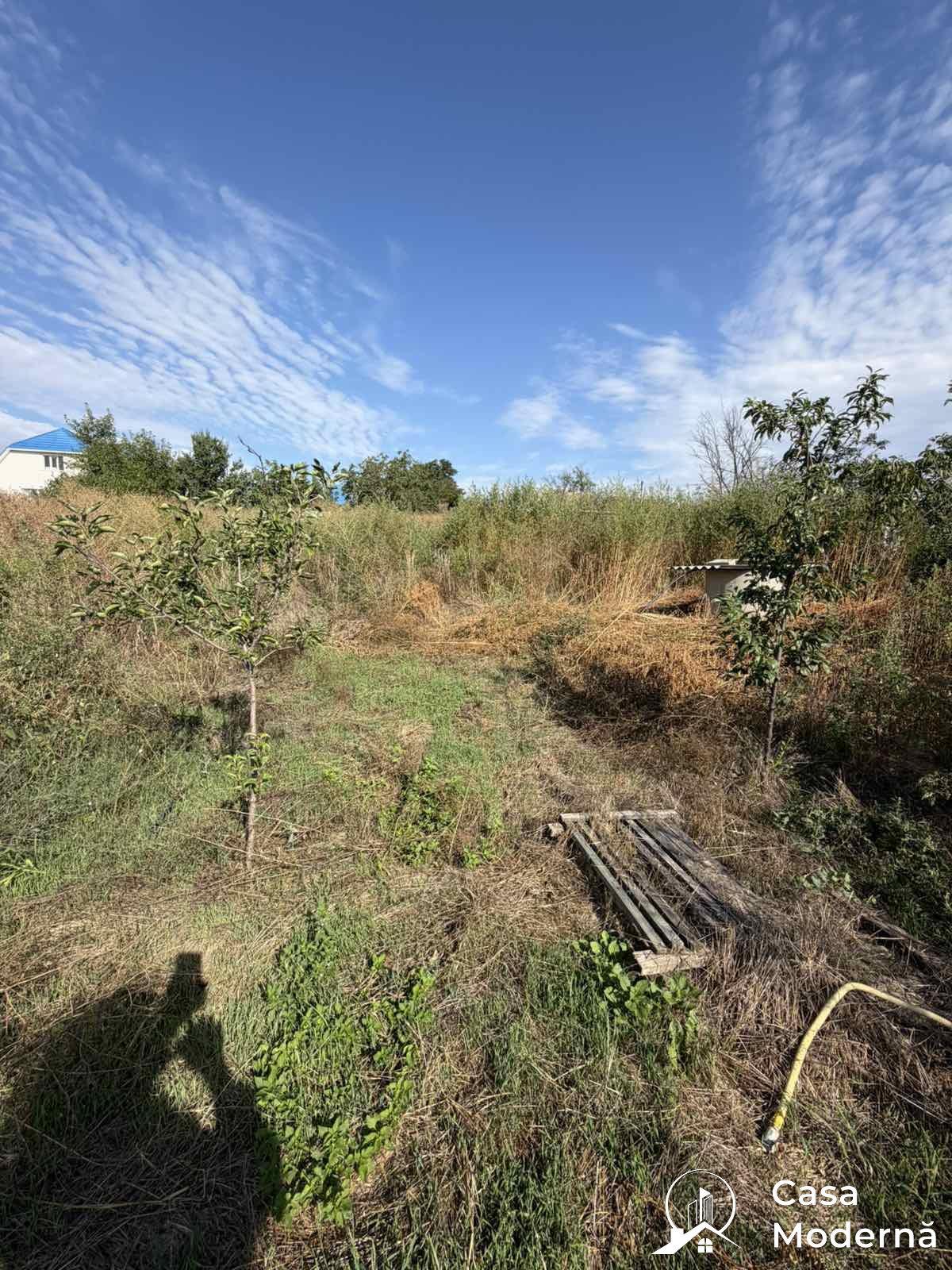 img2